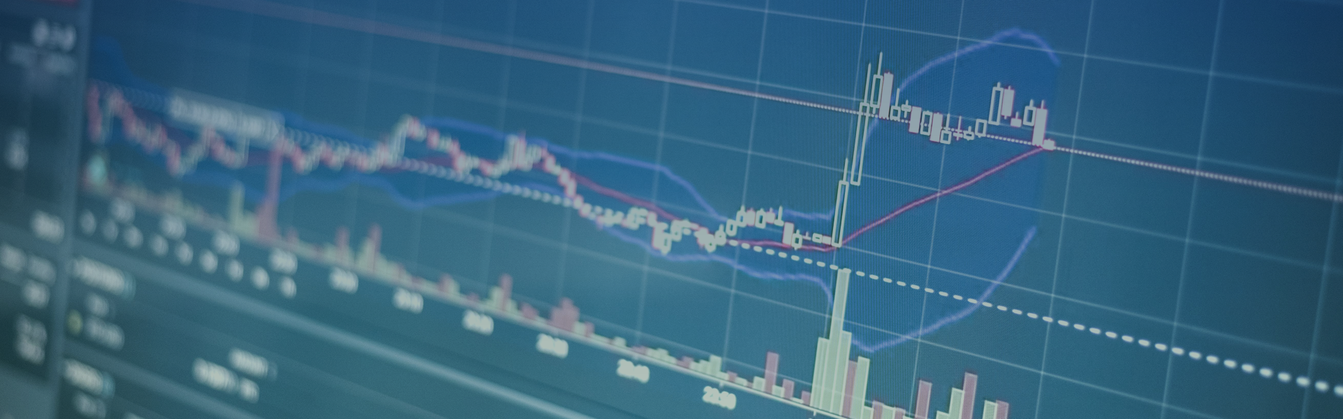 Business growth and transformation