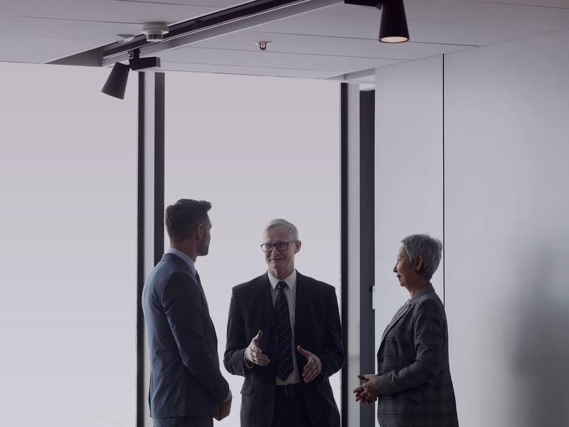 Executive Network expert consulting team